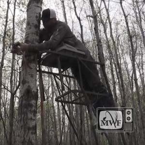 man tying a safety strap onto a tree stand