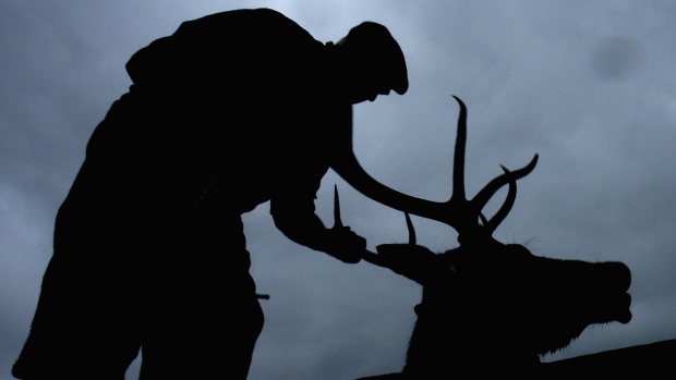 man holding the antlers of an elk at dusk