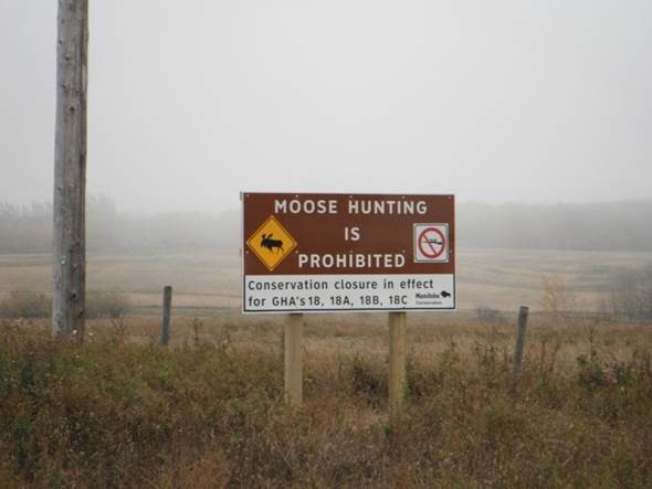 Moose Closure Sign
